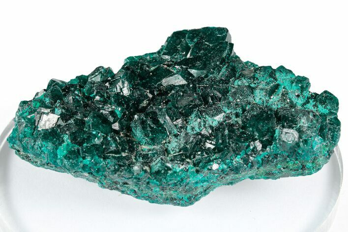Sparkly Emerald-Green Dioptase Crystal Cluster - Congo #347877